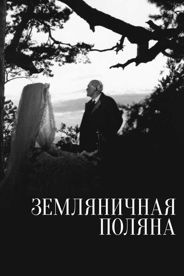 Земляничная поляна